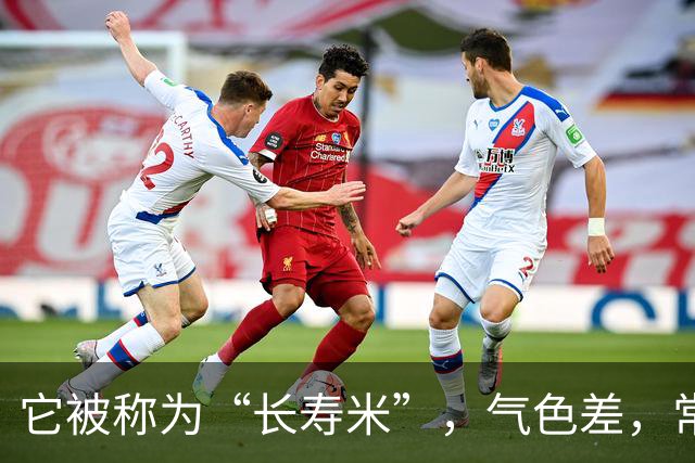 它被称为“长寿米”，气色差，常熬夜抓紧吃，补血亮肤，润肠排毒